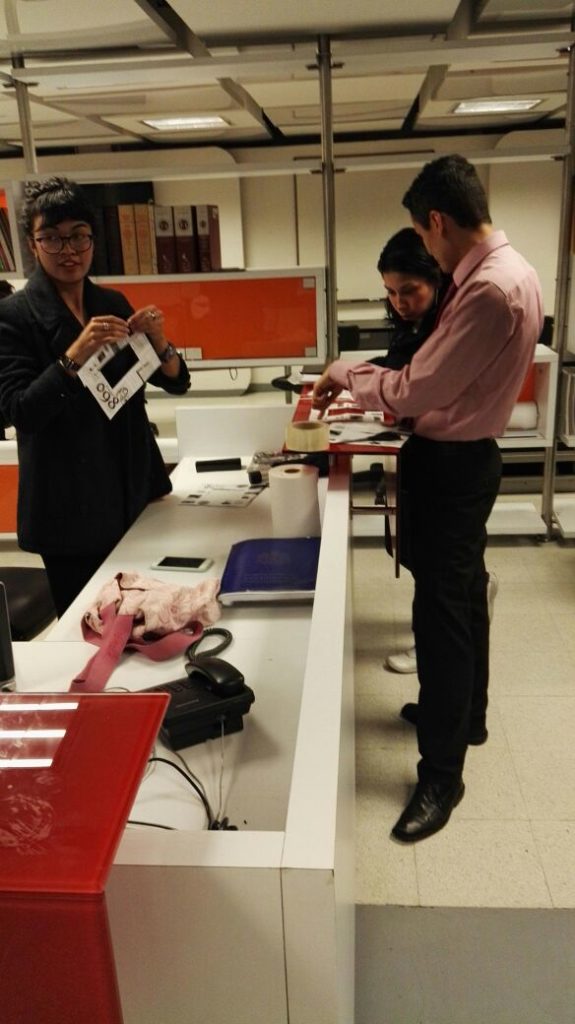 Preparación de distribución de los fanzines, Sociedad civil y bibliotecas públicas